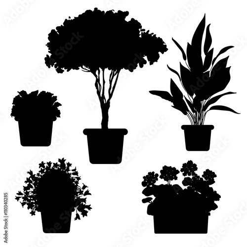 Vector set of silhouette plants and flowers in pot. Black and white illustration of plants
