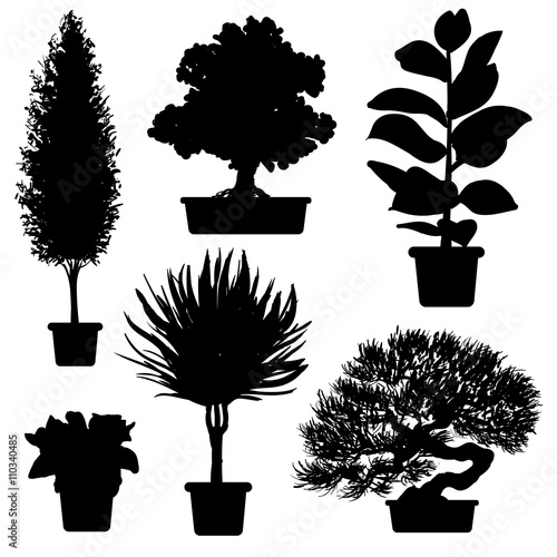 Vector set of silhouette plants and flowers in pot. Black and white illustration of plants