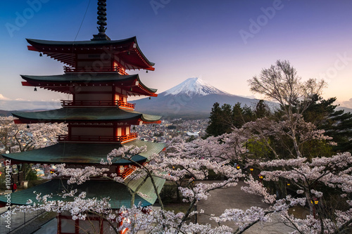 Beautiful view of Mountain Fuji and Chureito Pagoda with cherry blossom in spring, Fujiyoshida, Japan