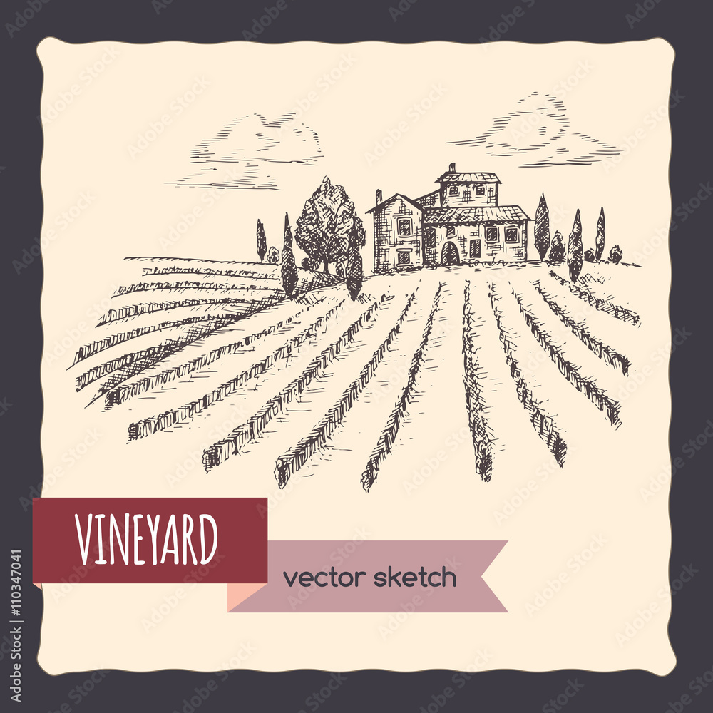 Vineyard and cottage landscape hand drawn vector sketch.