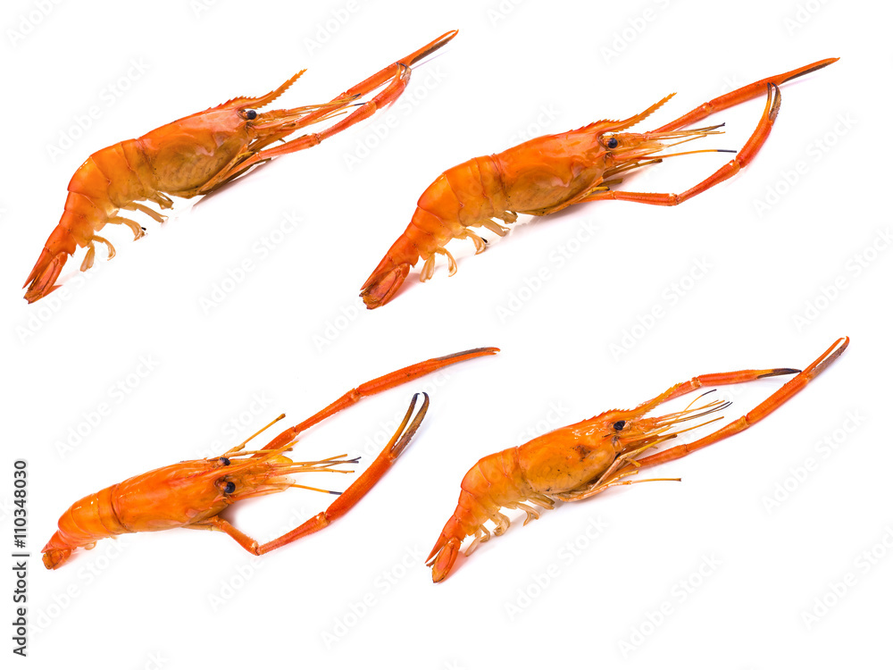 grilled shrimp ready to serve isolated grilled shrimp ready to serve isolated