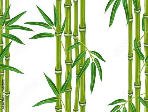 Fototapeta Naklejka Na Ścianę i Meble -  Seamless pattern with bamboo plants and leaves. Background made without clipping mask. Easy to use for backdrop, textile, wrapping paper