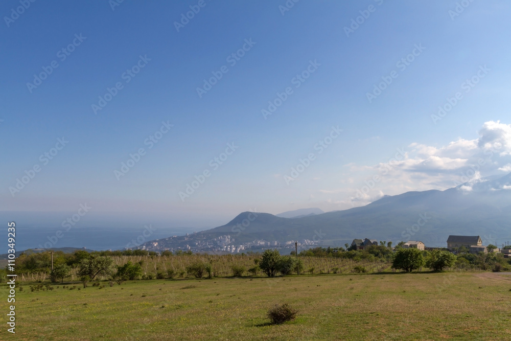 Obraz premium The city and the vineyard at the seaside