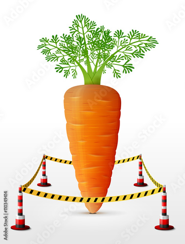 Carrot tuber located in restricted area. Carrot with leaves surrounded barrier tape. Qualitative vector illustration for agriculture, vegetables, cooking, gastronomy, olericulture, etc