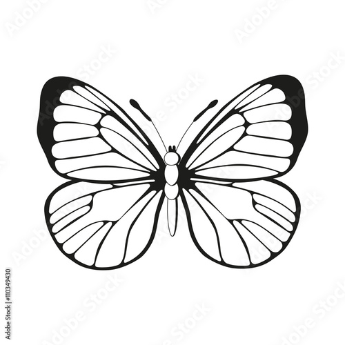 butterfly pattern vector