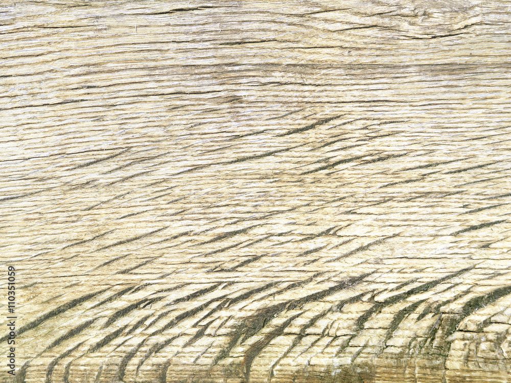 Fototapeta premium Texture of old oak wood