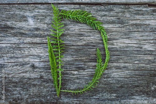 Letter D from yarrow leaves on an old wooden surface, the English alphabet photo