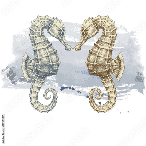 Summer background, seahorse over grunge background