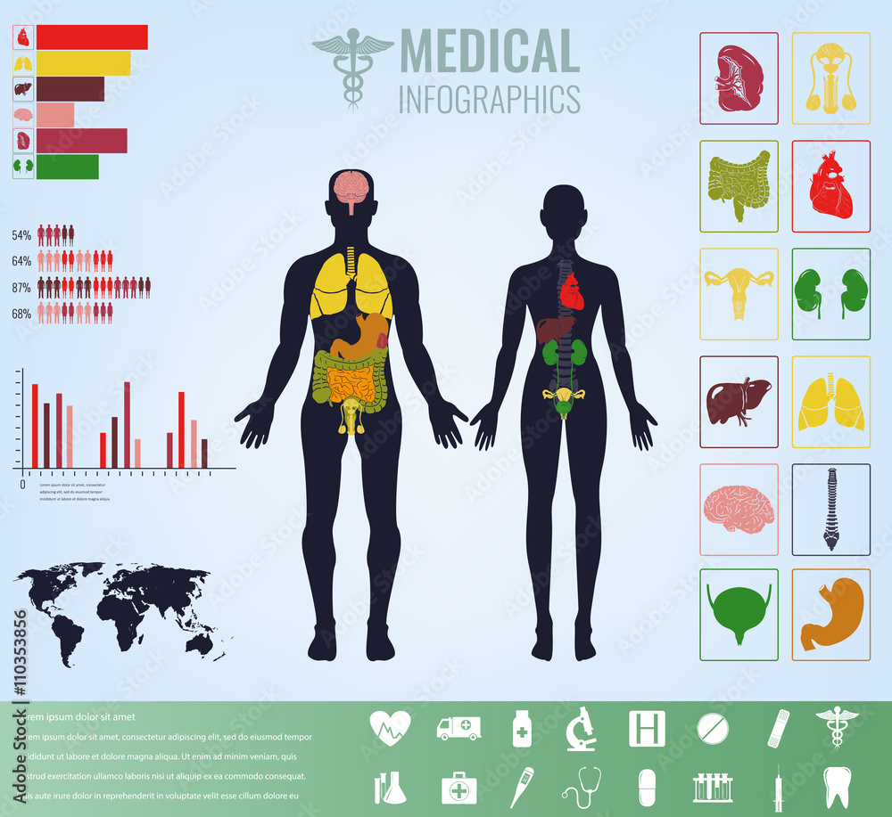Medical Infographic set with charts and other elements. Vector Medical Infographic set with charts and other elements. Vector