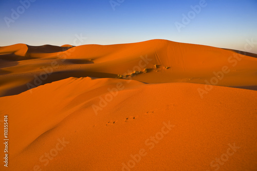 Morocco. The dunes of Erg Chebbi early morning. Selective focus on foreground