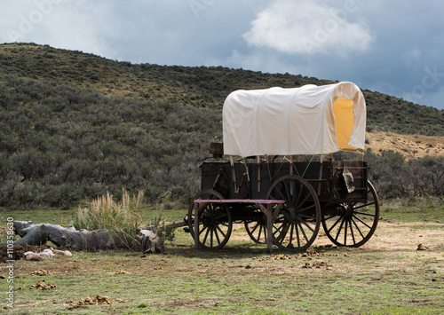 Western covered chuckwagon for cooking food on the trail drive © gevans