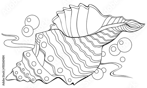 Black and white illustration of shell for coloring. Developing children skills for drawing. Vector image.