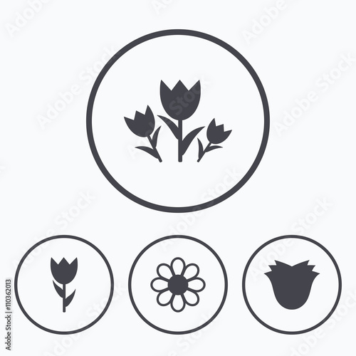 Flowers icons. Bouquet of roses symbol.