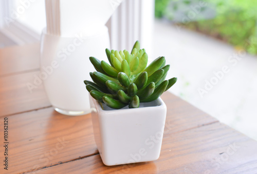 Fake succulent plant in the vase near the window