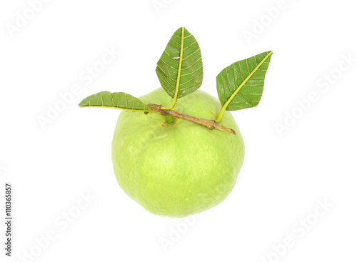 Guava with leaf and splash
