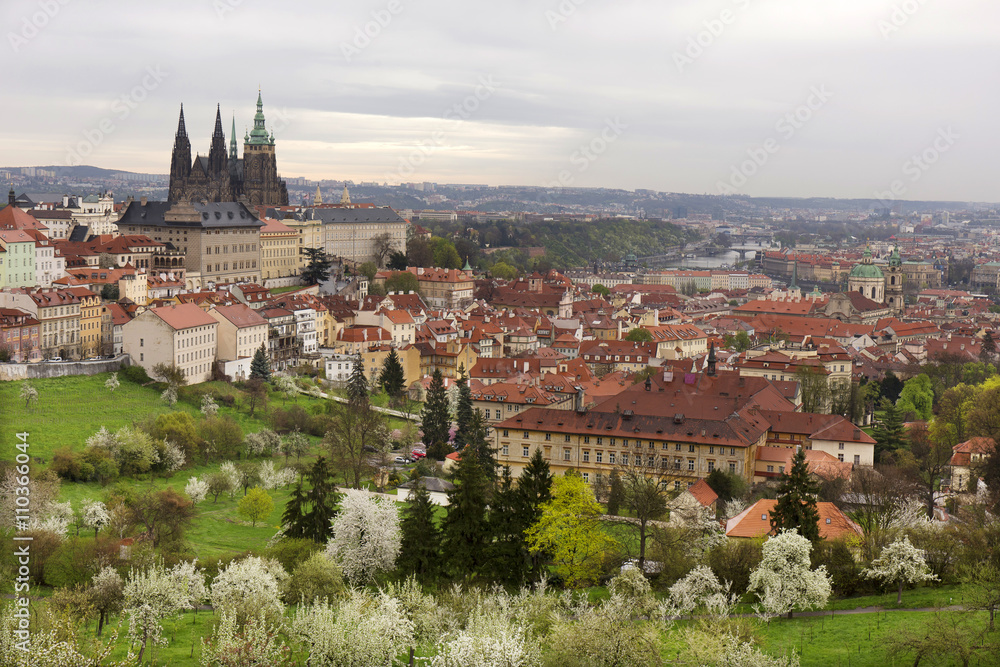 Obraz premium View on the spring Prague City with gothic Castle, green Nature and flowering Trees, Czech Republic