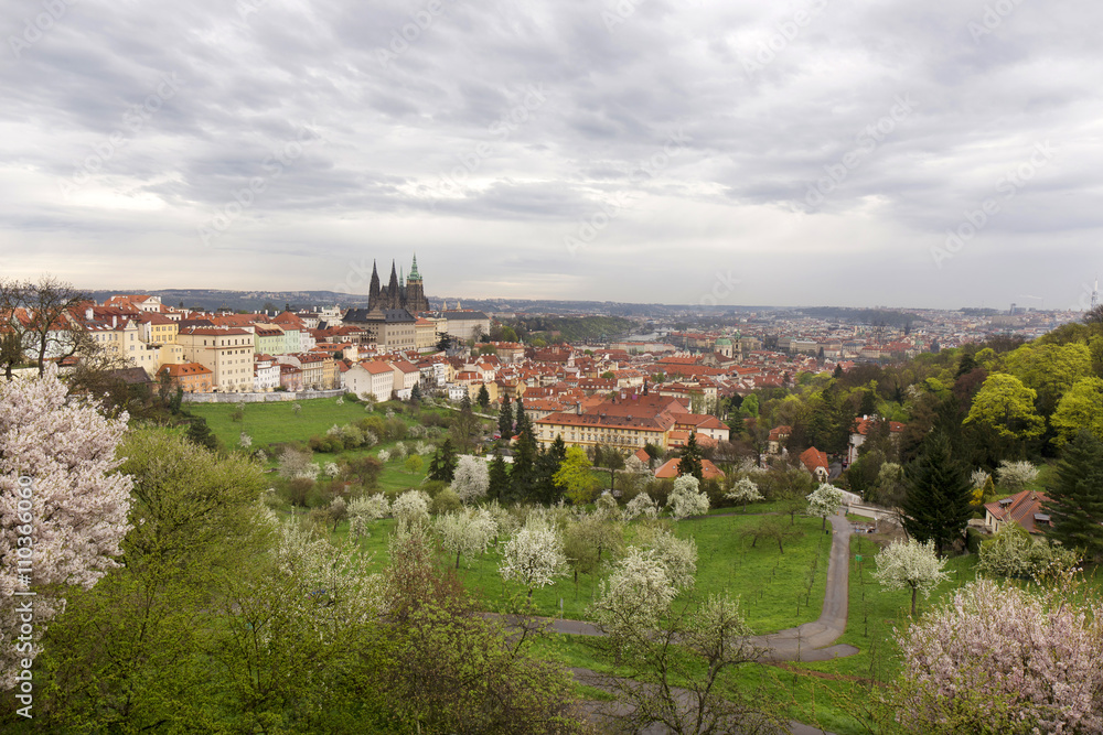 View on the spring Prague City with gothic Castle, green Nature and flowering Trees, Czech Republic