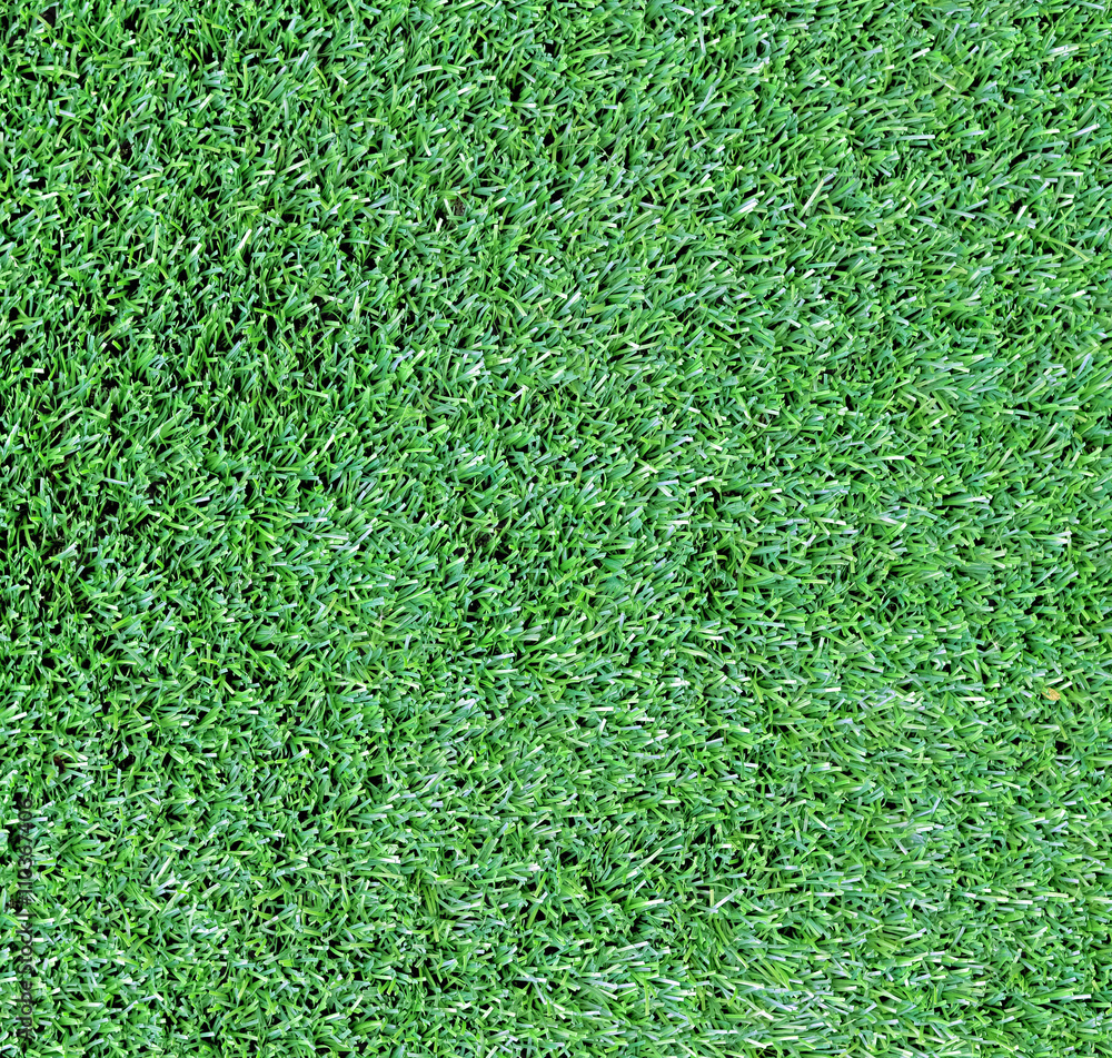 Fototapeta premium Artificial Grass Field