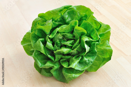 Head of fresh crispy leafy green