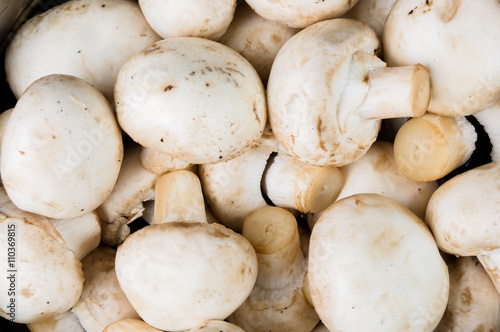 white washed mushrooms