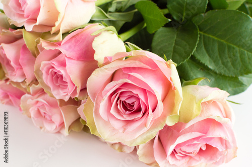 Close up of pale pink roses lying on table