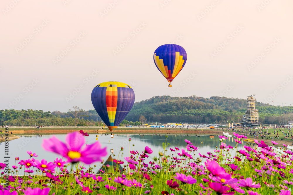 Fototapeta premium Colorful hot-air balloons flying over cosmos flowers at sunset