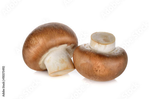 uncooked Swiss brown Champignon mushroom on white background