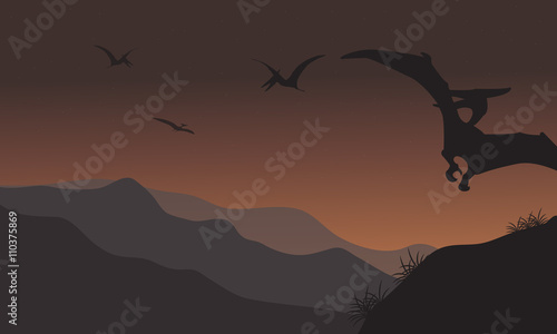 Silhouette of pterodactyl fly at the night
