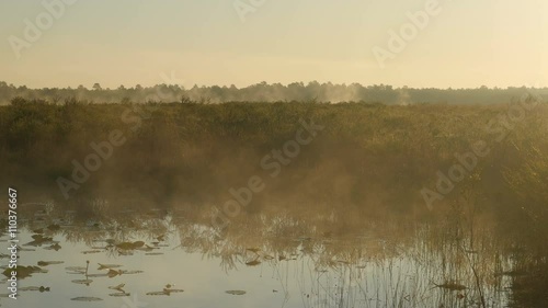4K Vegetated Pond Misty Morning 2