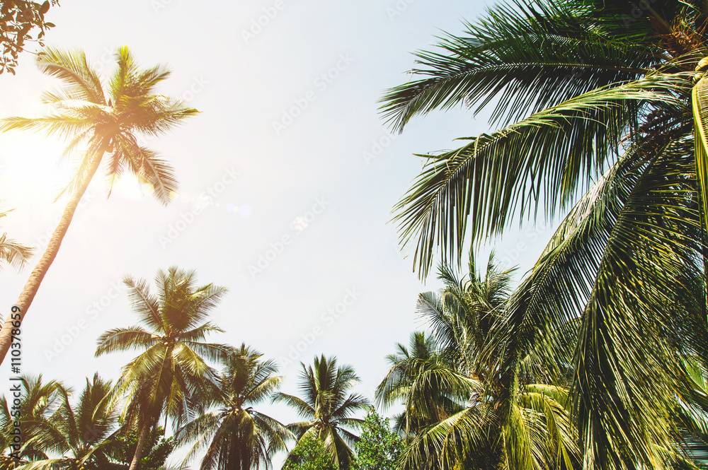 Palm trees and bright sun on blue sky background