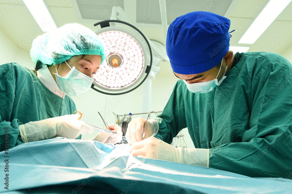 two veterinarian surgeons in operating room two veterinarian surgeons in operating room