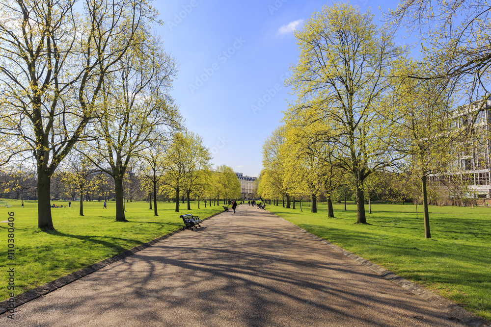 Beautiful landscape around Hyde Park