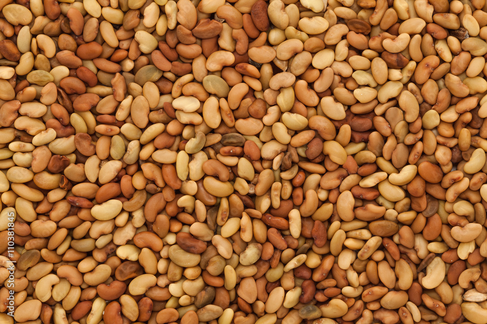 Macro closeup background texture of Organic Alfalfa or lucerne (Medicago sativa) seeds. Macro closeup background texture of Organic Alfalfa or lucerne (Medicago sativa) seeds.