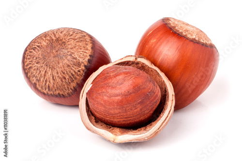 Three hazelnuts isolated on white background close-up macro