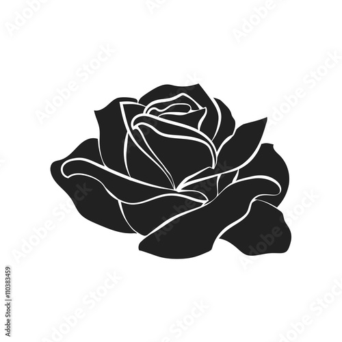 silhouette of rose