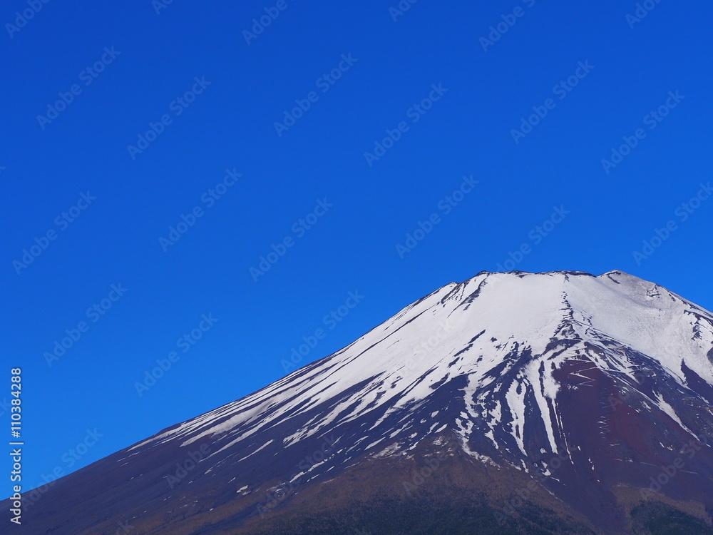 Fototapeta premium 初夏の富士山