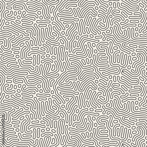 Vector Seamless Black And White Coral Organic Line Texture Pattern