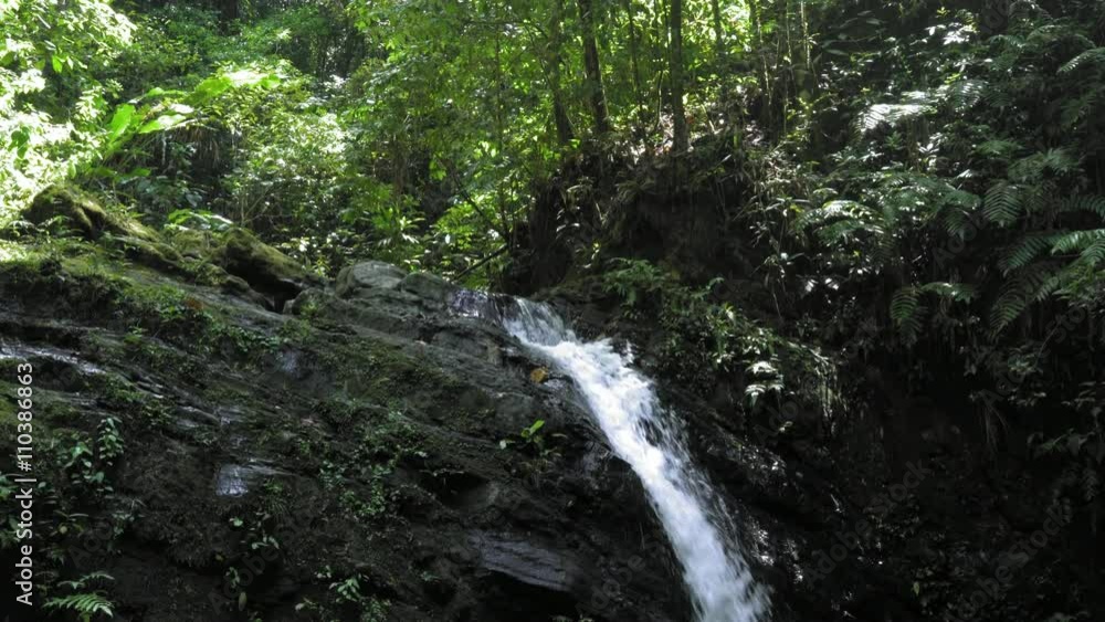 Scenics view of waterfall in a forest; Trinidad; Trinidad and Tobago Scenics view of waterfall in a forest; Trinidad; Trinidad and Tobago