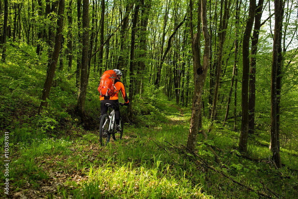 Obraz premium Cyclist Riding the Bike on a Trail in Summer Forest