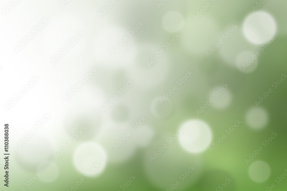 Obraz premium green and light green blur background