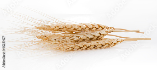 Barley Grains the scoop Isolated on White Background © nortongo