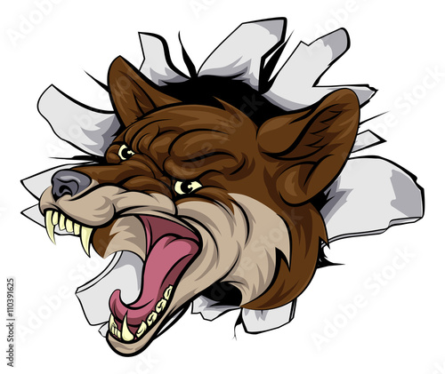 Coyote mascot break out