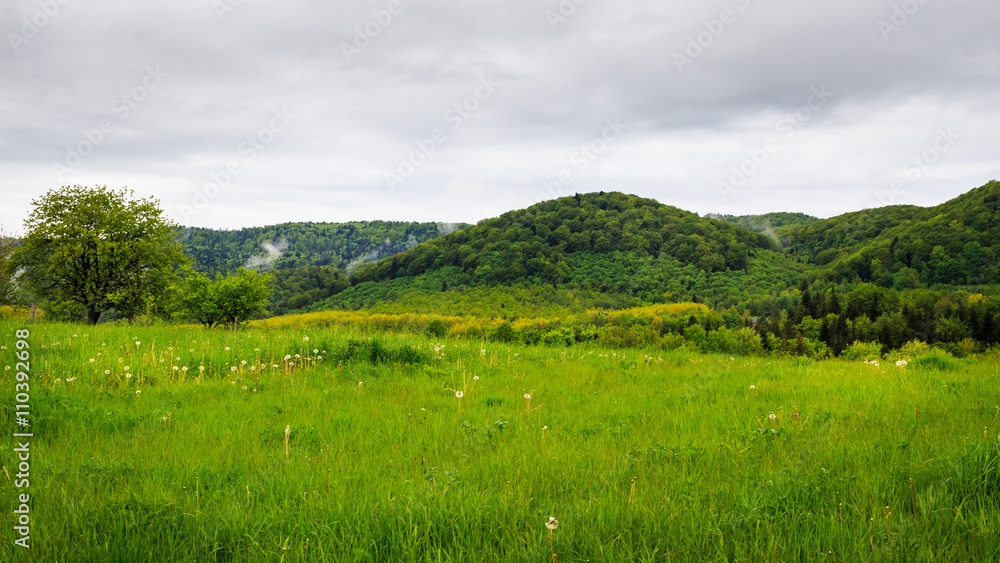 Carpathian mountains, valley before rain. Ukraine.