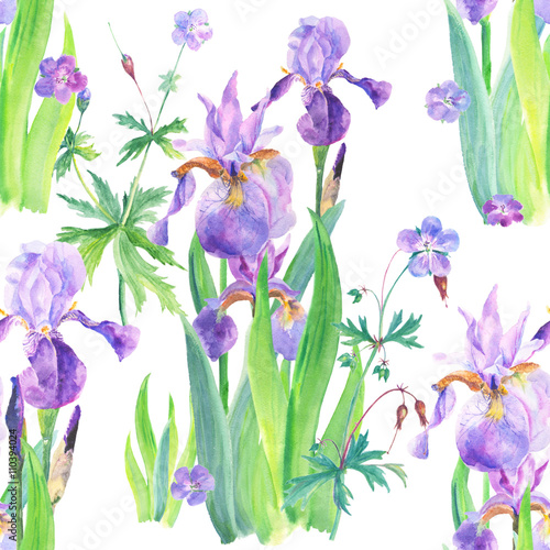 Fototapeta Naklejka Na Ścianę i Meble -  Watercolor floral seamless pattern with irises