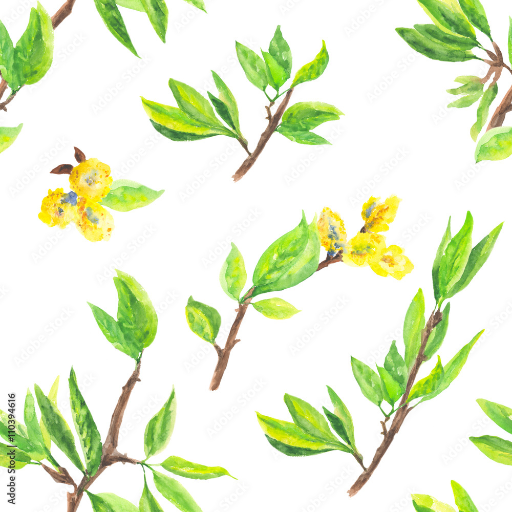 Watercolor floral seamless pattern with spring young leaves and blossoming willow catkins