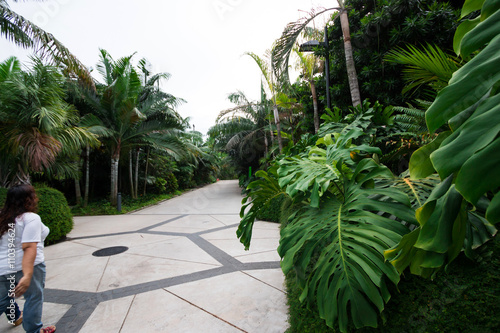 Park with trees in Singapore 