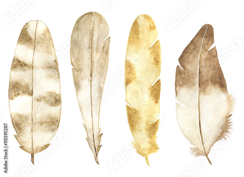 Watercolor feather set isolated on white background