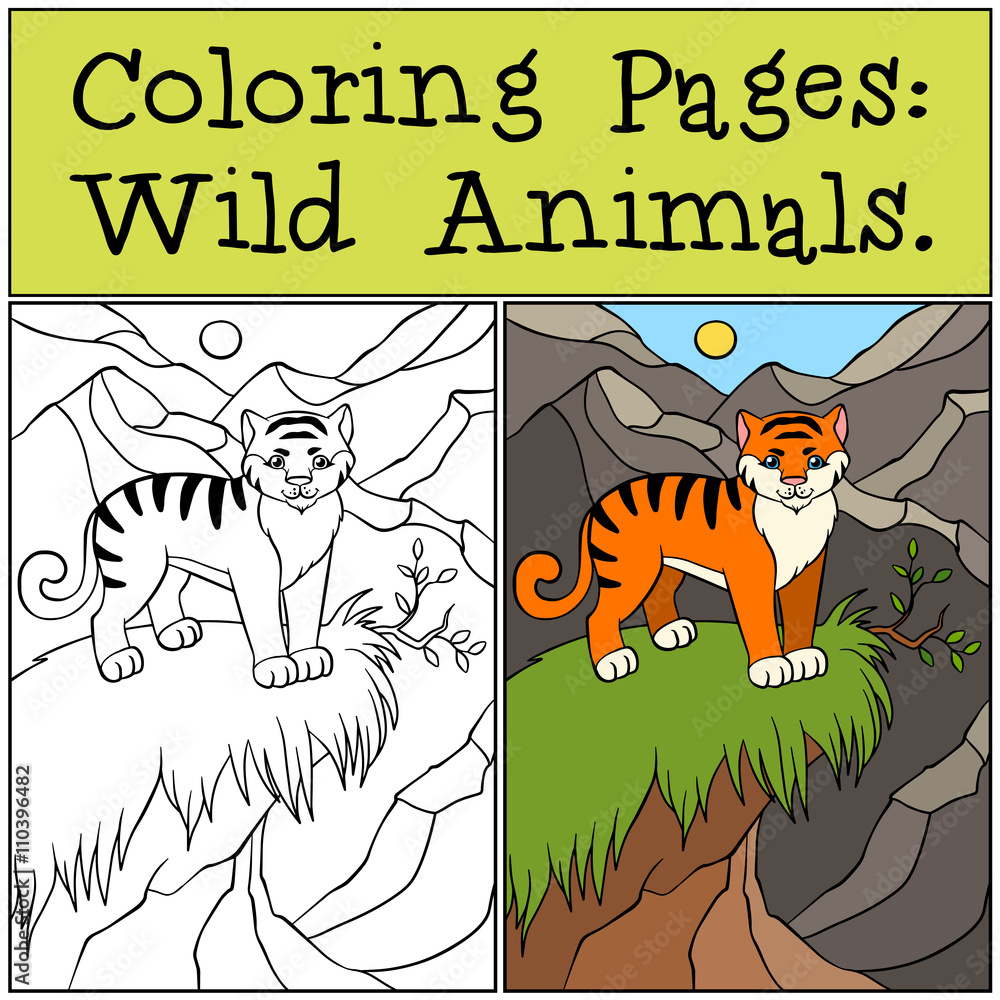 Naklejka premium Coloring Pages: Wild Animals. Little cute tiger.