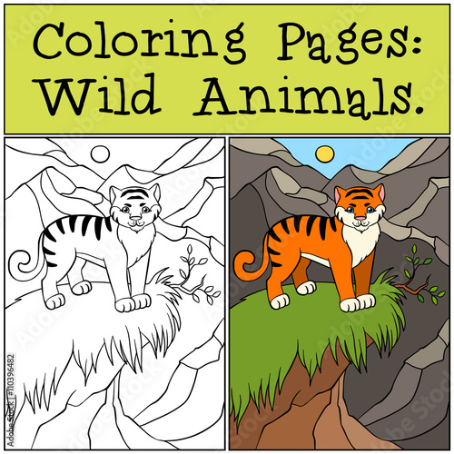 Fototapeta Naklejka Na Ścianę i Meble -  Coloring Pages: Wild Animals. Little cute tiger.