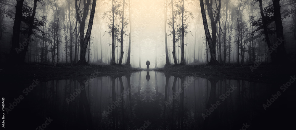Obraz premium las z odbiciem w jeziorze i sylwetka człowieka